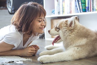 How Training Methods Can Affect Your Dog’s Health