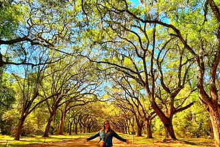 Stumbling into Savannah, Georgia