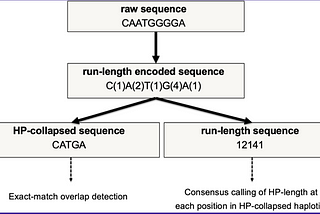 HiFi Assembler Series, Part 2: HiCanu, near optimal repeat resolution using HiFi reads
