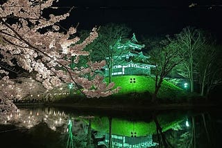 History, blossoms, and volcanoes: Cherry Blossoms at Takada Castle Park