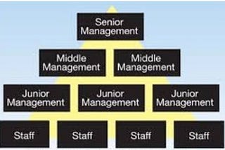 Online Assignment Help: Leadership and management of an organization