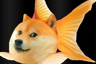 魚狗幣操作教學