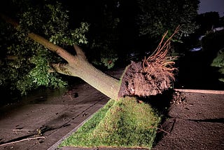 Severe storms cause two-day power outage in Eastern Wisconsin, expose vulnerability in disaster…