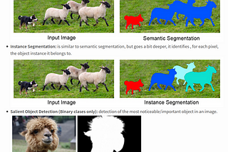 Segmentation model using SemTorch