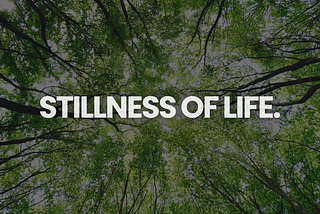 The stillness of life will either make you depressed or more active.