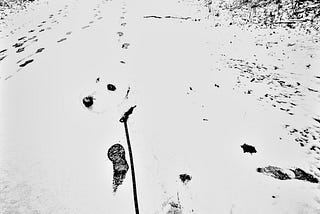 And within me a world