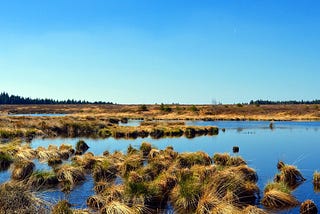 Das Saterland im Nordwesten von Garrel: Einzig-artiges Naturerlebnis mit eigener Sprache