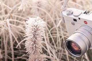 The Leica M10-P White Edition
