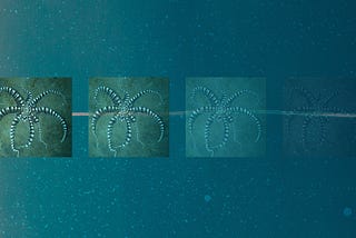 The Octopus and the Machine