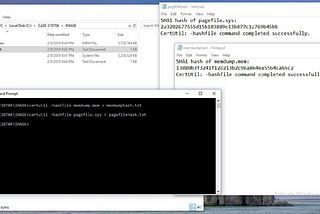 Forensic Report Sample:Volatile Memory Acquisition using FTK Imager Lite