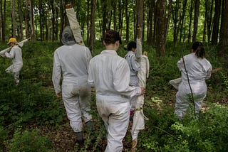 Lyme Disease Cases Are Exploding. And It’s Only Going to Get Worse.