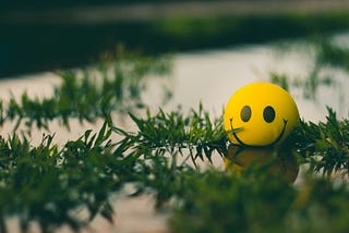 A yellow ball with a smiley face painted on it sitting in a puddlewith a fir branch around it.