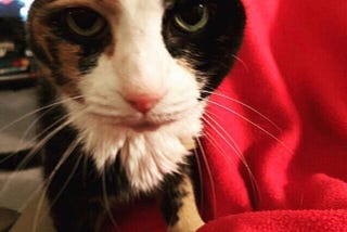 RIP Millie