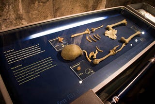 A Nobel-Worthy Look at Ancient Genomes