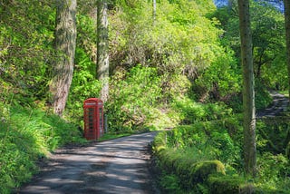 Phonebox in the forest