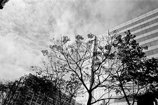 Contax G 系列鏡頭：G45, G28, G90
