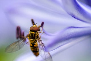 Hoverfly — Simulando suas dependências