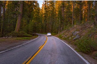 The big huge oak trees en route to Shimla were like my home.