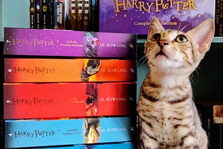 Harry Potter — Book Series Review