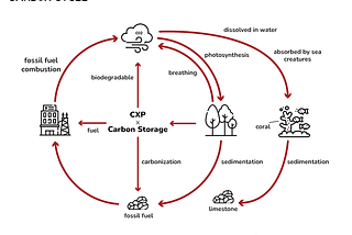 CXP and Carbon Sequestration
