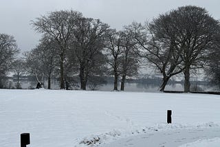 A snowy landscape in Denmark with a clear foreground of untouched snow, interrupted only by a few sets of footprints. Several leafless trees stand throughout the scene, with a calm sea  visible in the distance.