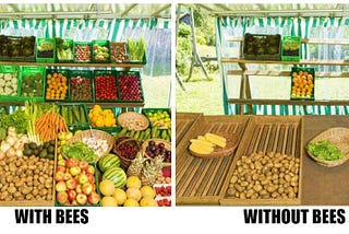 A world without bees, will be a world without food?