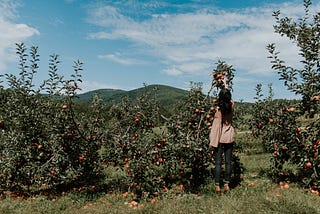 How Agritech can help Himachal’s Apple Industry