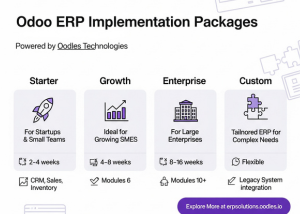 Odoo ERP Implementation Packages by Oodles Technologies