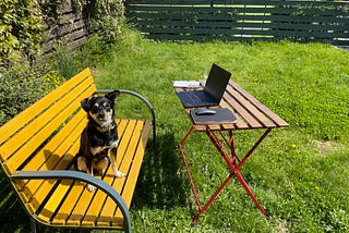 Remote working in 2022