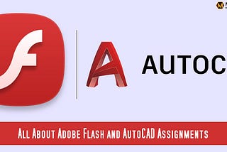 All about Adobe Flash and AutoCAD Assignments