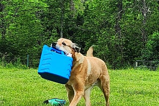 Recycle