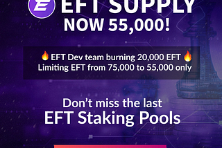 20,000 EFT burned!