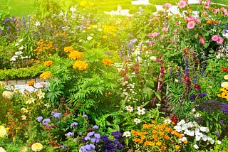 A beautiful garden