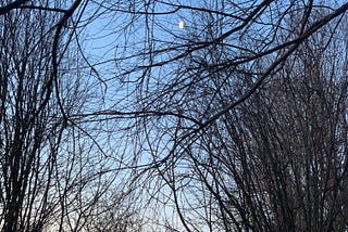 My mother becomes the moon