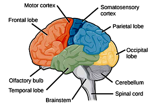 15 Warning Signs Of Brain Tumour | Brain Tumour Symptoms & Sign | MoArticle