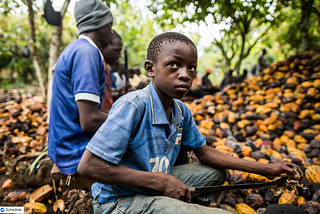 The Future of the Cocoa Industry in Light of Black Lives Matter