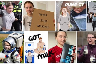 From Greta’s Breasts to Memecoins: Trivialization and Stigmatization in the Climate Debate