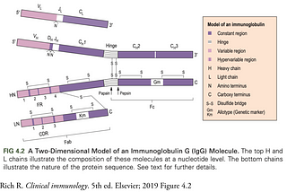 True Facts about Antibodies — Deplatform Disease