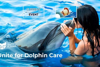 Echoes of the Ocean: Dolphin Awareness Month Special Event