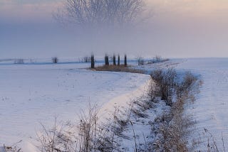 Misty winter landscape over fields