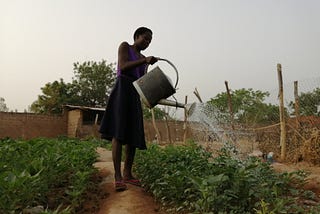 WASH in School: Providing water to support comprehensive education for girls in Sissili