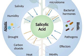 Salicylic acid for plants: it’s not just for acne!