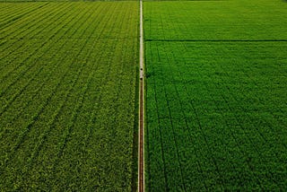 Los datos de la tierra: la revolución digital del agro