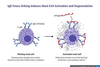 Allergies Unveiled: Genetics, Environment, and their Impact