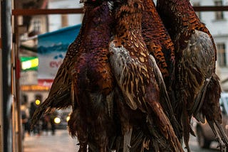 Flipping the bird/birds to the man/men