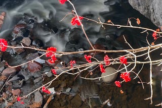 The Wisdom of December