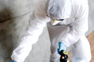 Common Mistakes to Avoid During Anti Termite Treatment in Noida