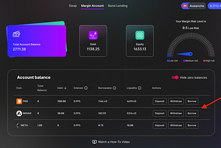 Borrow from Marginswap and add Liquidity on Pangolin