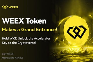 WEEX Exchange Unveils WXT: The Ultimate Platform Token for Traders