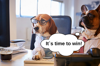 Time to earn money: What makes Search Engine Optimization more profitable than paid advertising